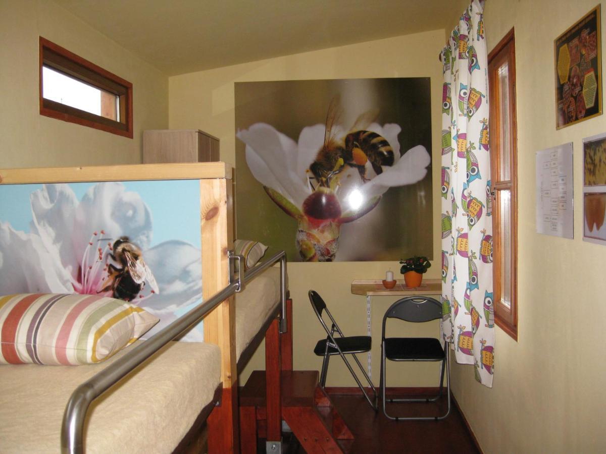 Apartmány včelka Hranice u Novych Hradu Exteriér fotografie